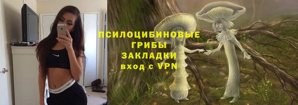 дживик Ладушкин