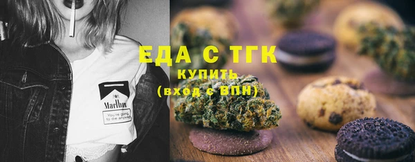 соль ск Дмитриев