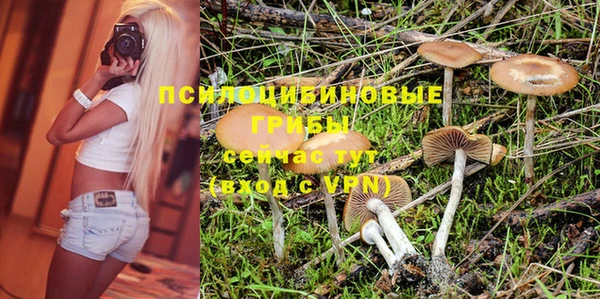 молекула духа Дмитров