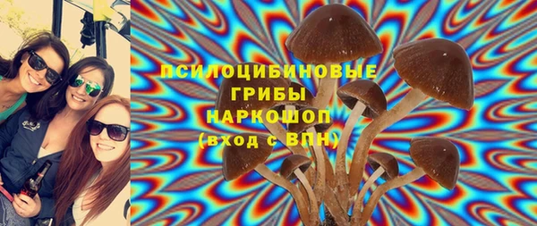 крисы Володарск