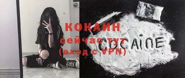 дживик Ладушкин