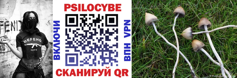 Галлюциногенные грибы Cubensis  магазин продажи наркотиков  Печоры 